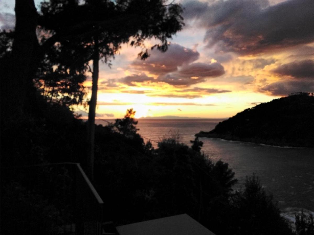 Villa Mimosa Splendida Vista Mare Bonassola Exteriör bild