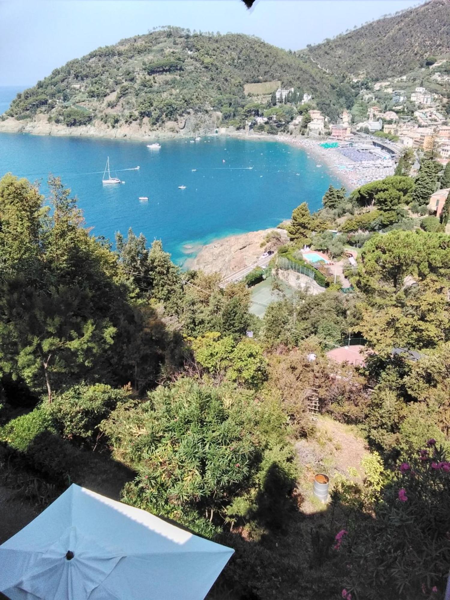 Villa Mimosa Splendida Vista Mare Bonassola Exteriör bild