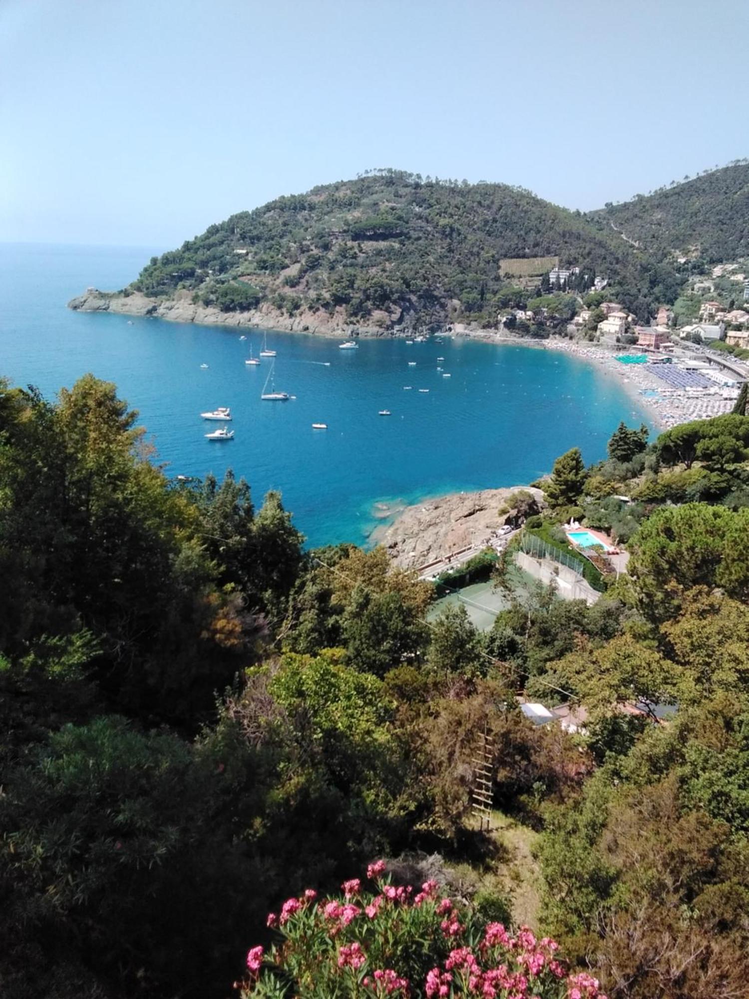 Villa Mimosa Splendida Vista Mare Bonassola Exteriör bild