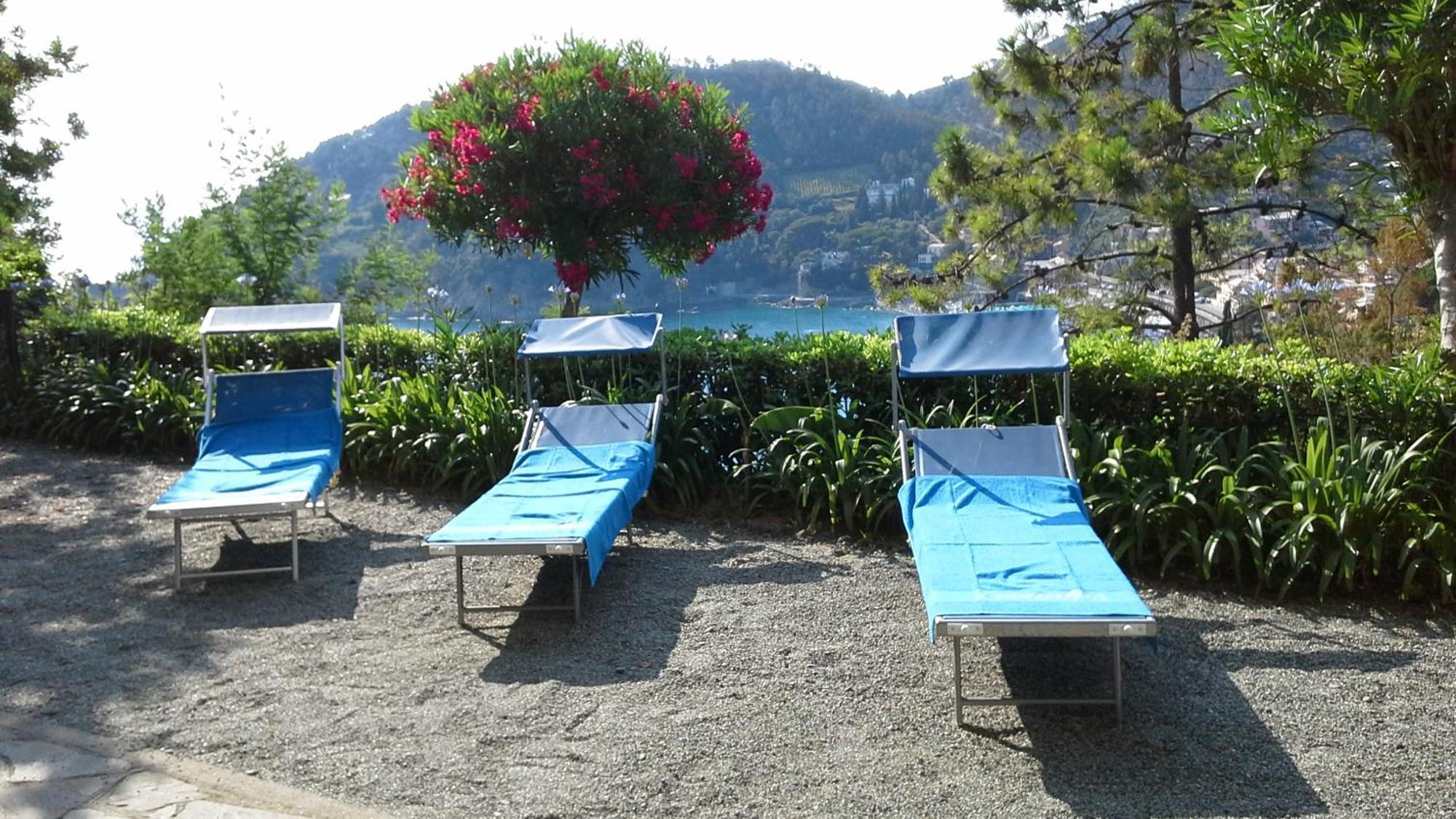 Villa Mimosa Splendida Vista Mare Bonassola Exteriör bild